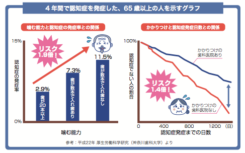 残存歯数と認知症との関係 -くすのき歯科医院-